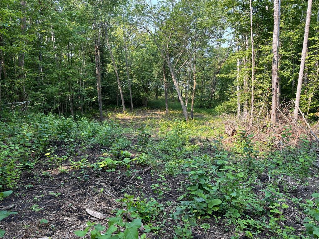 1250 Island Lake Resort Drive Island Lake Twp MN 56651 - Island Lake 6575860 image6