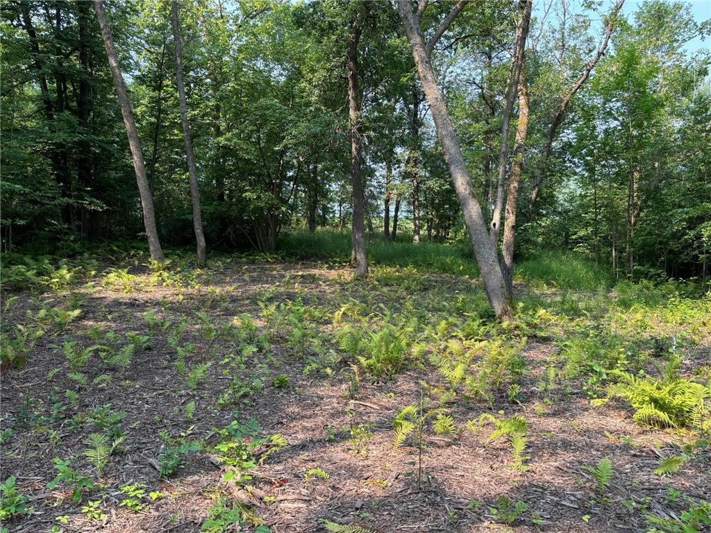 1250 Island Lake Resort Drive Island Lake Twp MN 56651 - Island Lake 6575860 image7