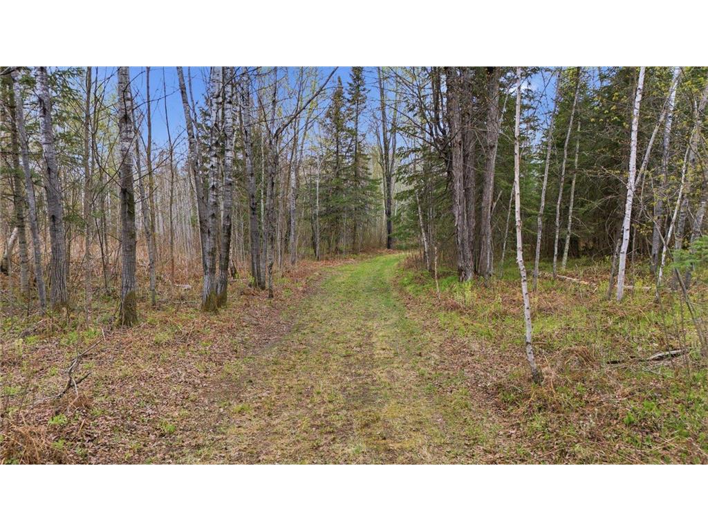 12502 Van Horn Road Floodwood MN 55736 7010597 image51