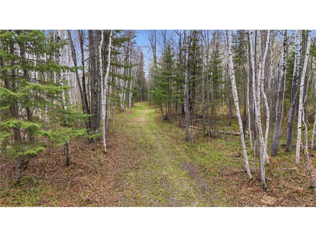 12502 Van Horn Road Floodwood MN 55736 7010597 image53