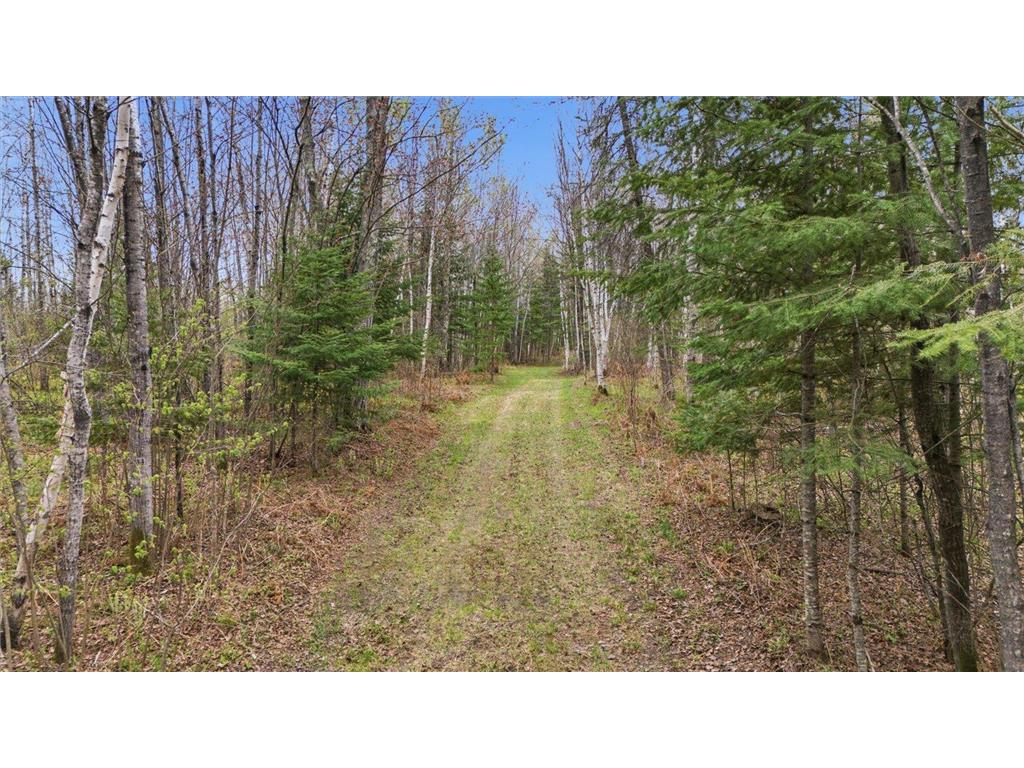 12502 Van Horn Road Floodwood MN 55736 7010597 image54