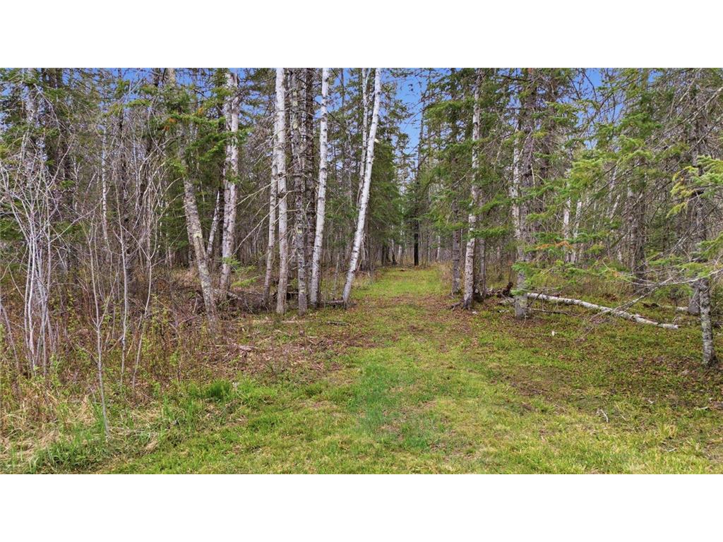 12502 Van Horn Road Floodwood MN 55736 7010597 image56