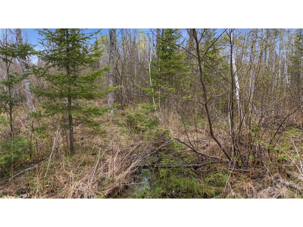 12502 Van Horn Road Floodwood MN 55736 7010597 image60