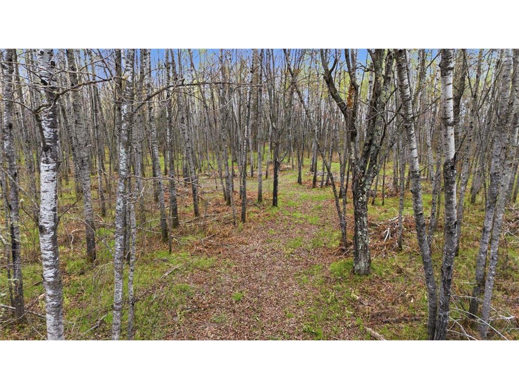 12502 Van Horn Road Floodwood MN 55736 7010597 image62
