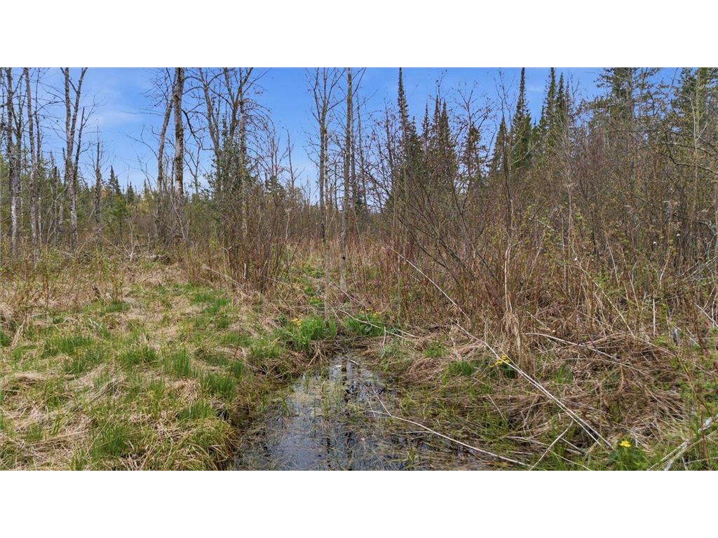 12502 Van Horn Road Floodwood MN 55736 7010597 image64