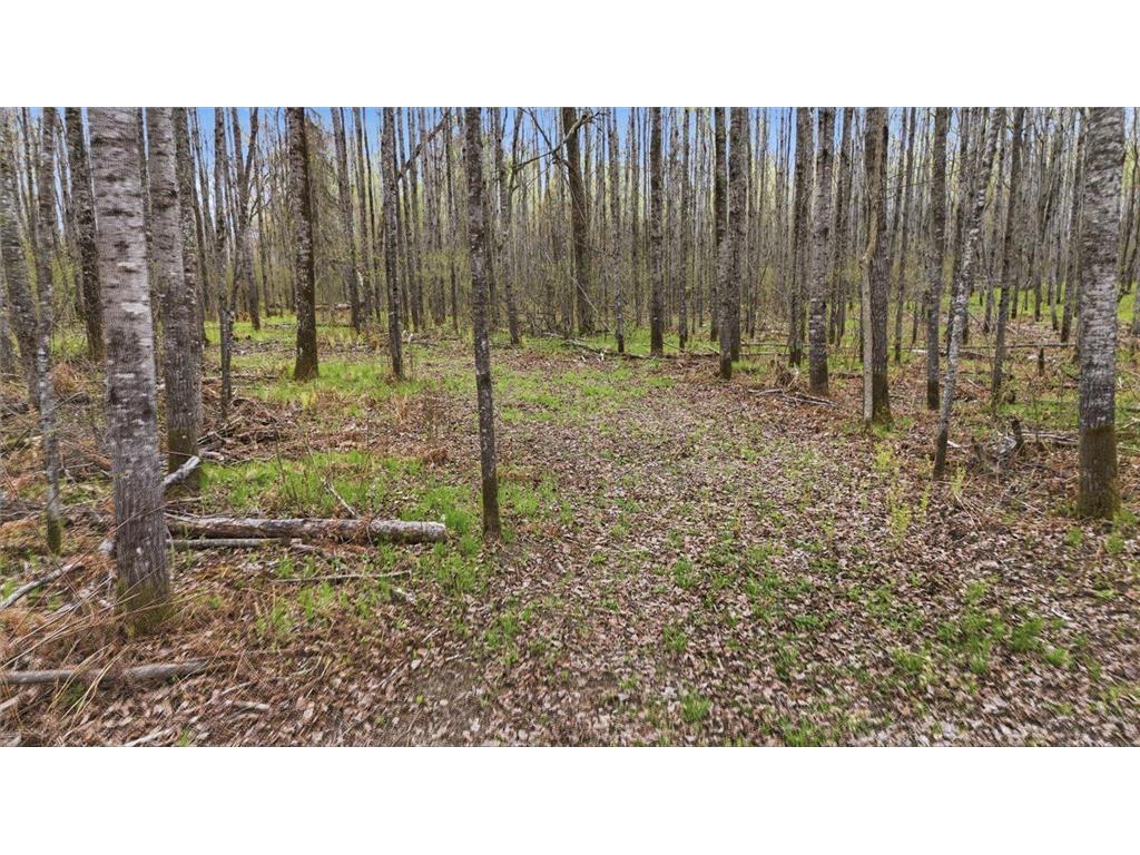 12502 Van Horn Road Floodwood MN 55736 7010597 image65