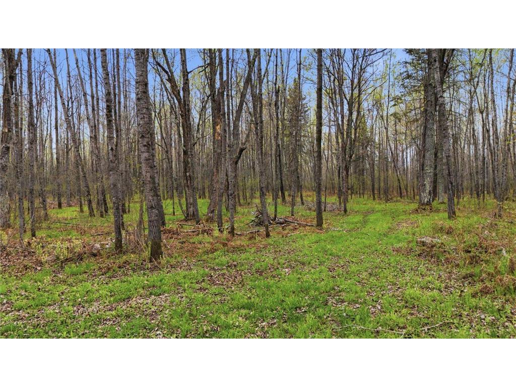 12502 Van Horn Road Floodwood MN 55736 7010597 image66