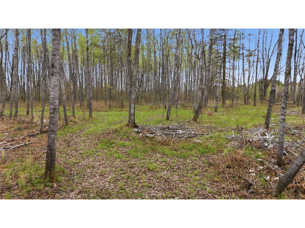 12502 Van Horn Road Floodwood MN 55736 7010597 image67