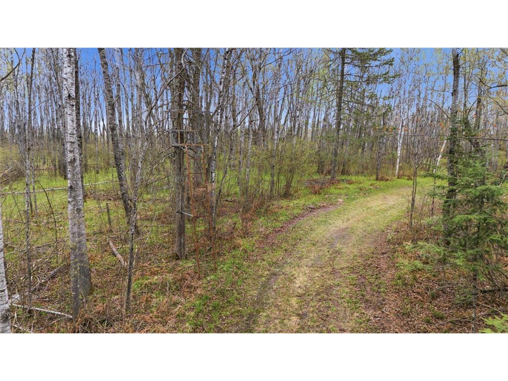 12502 Van Horn Road Floodwood MN 55736 7010597 image69