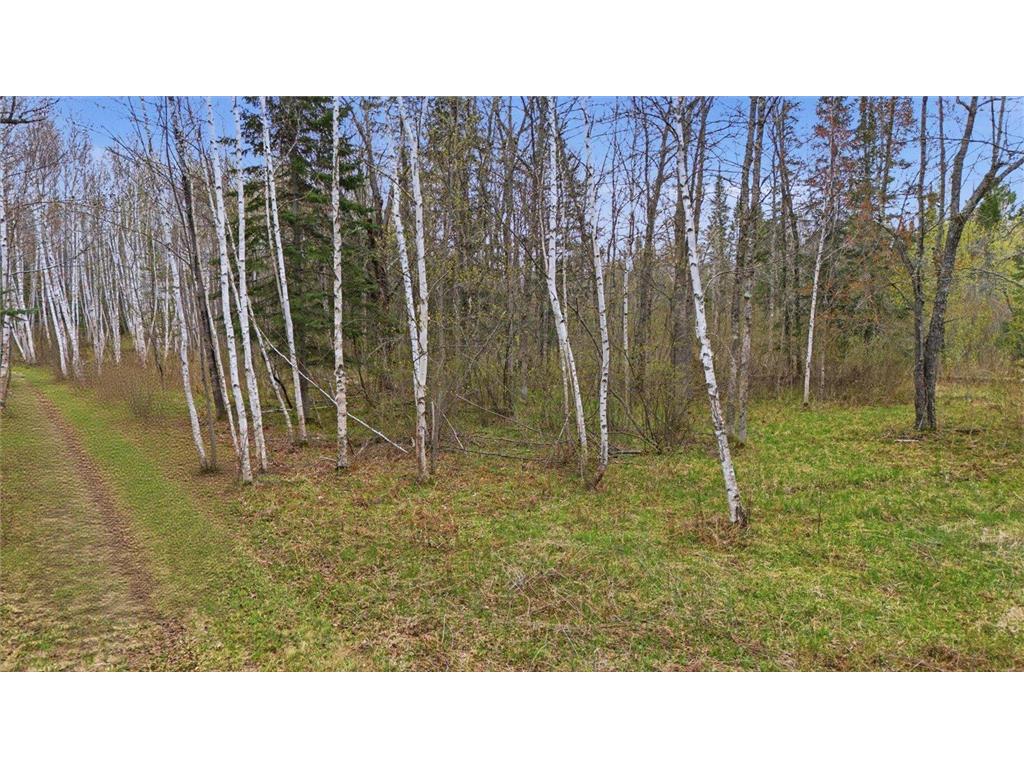 12502 Van Horn Road Floodwood MN 55736 7010597 image74