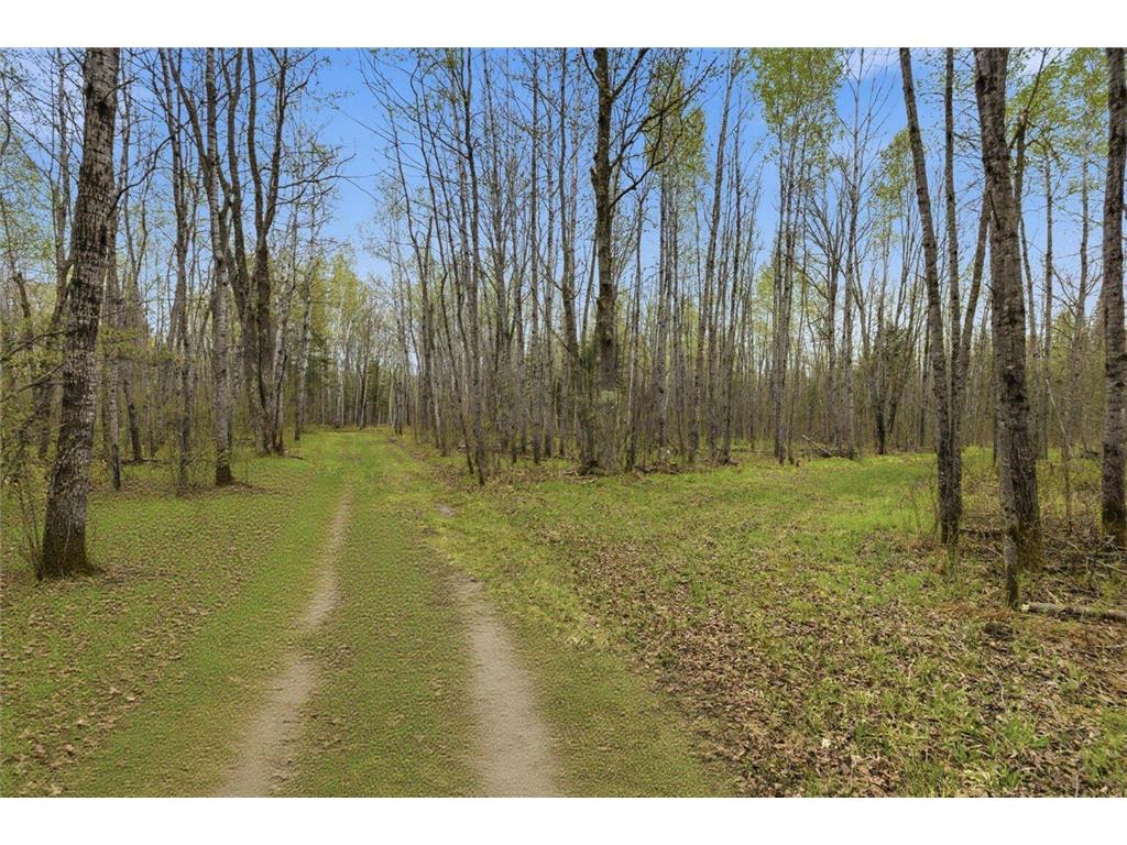 12502 Van Horn Road Floodwood MN 55736 7010597 image75