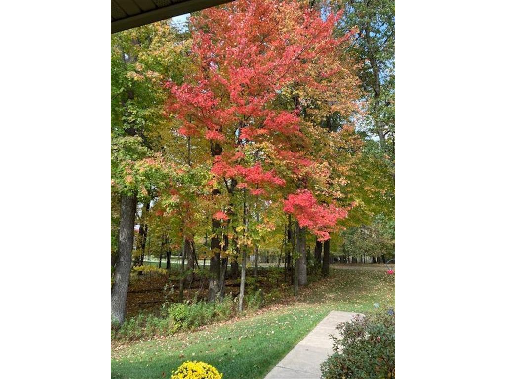 12516 225th Court NW Elk River MN 55330 7052088 image12