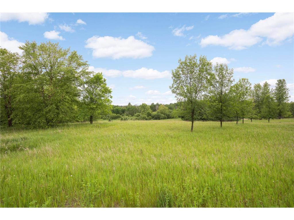 12527 249th Avenue NW Zimmerman MN 55398 6823994 image12
