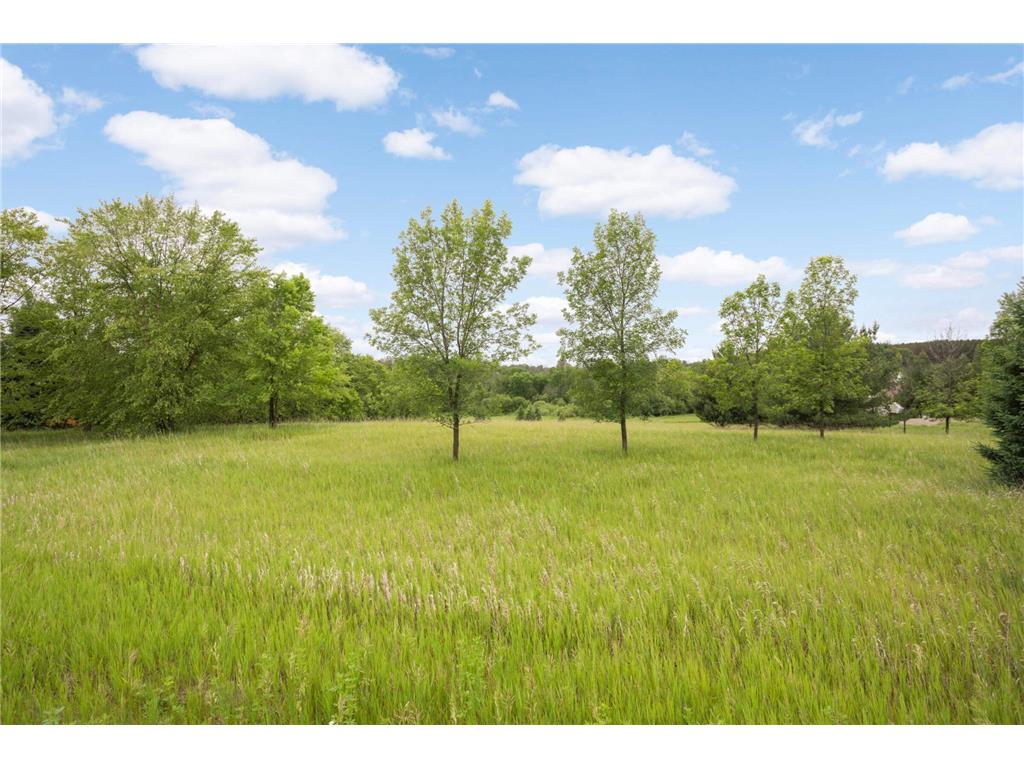 12527 249th Avenue NW Zimmerman MN 55398 6823994 image13