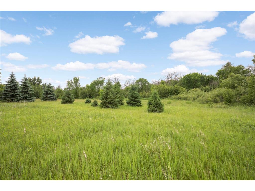 12527 249th Avenue NW Zimmerman MN 55398 6823994 image17
