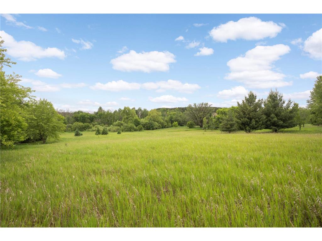 12527 249th Avenue NW Zimmerman MN 55398 6823994 image22