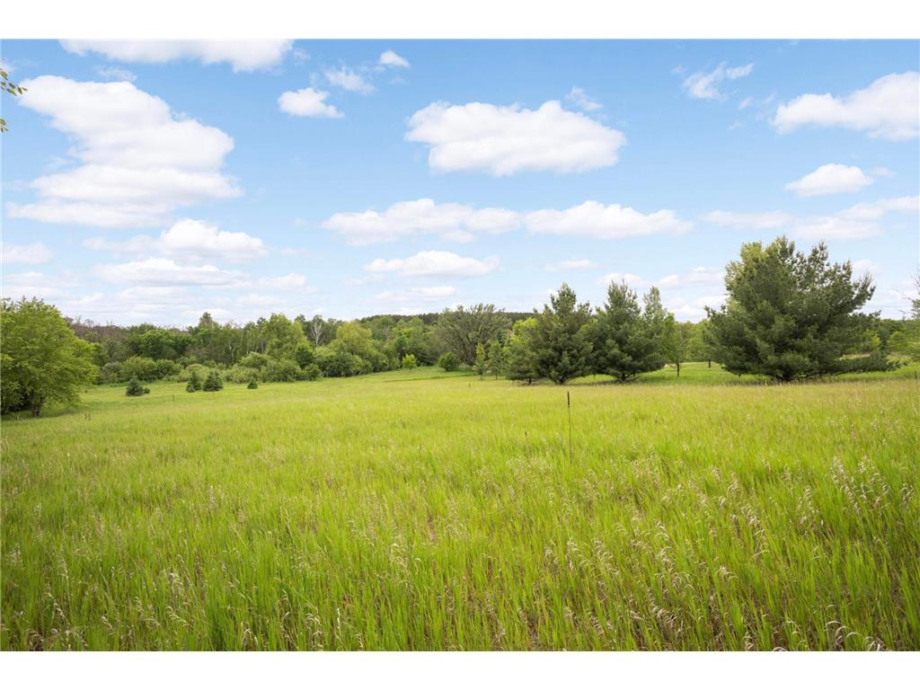 12527 249th Avenue NW Zimmerman MN 55398 6823994 image23