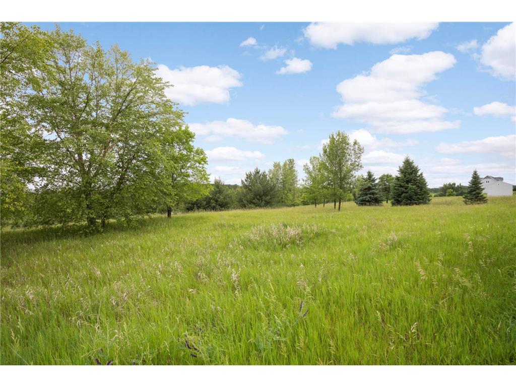 12527 249th Avenue NW Zimmerman MN 55398 6823994 image24