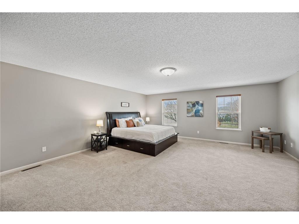 12529 Quemoy Street NE Blaine MN 55449 7054191 image11