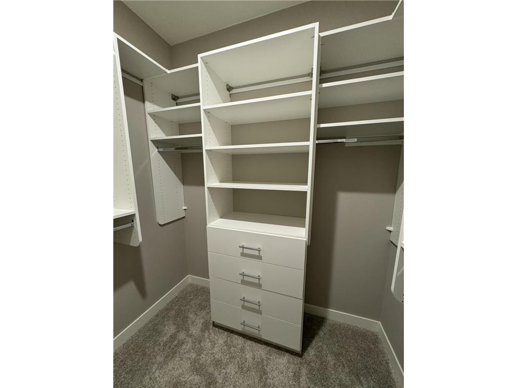 1253 Willowbrook Circle Delano MN 55328 6823240 image39