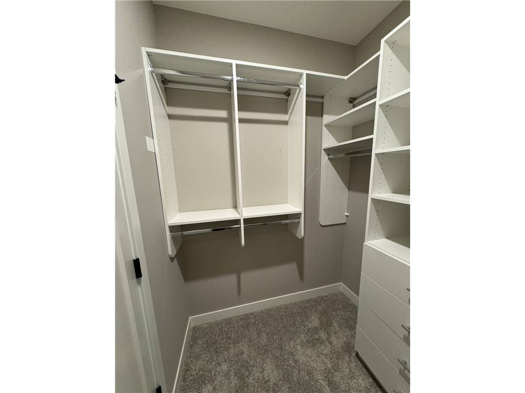 1253 Willowbrook Circle Delano MN 55328 6823240 image40