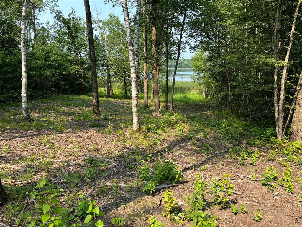 1254 Island Lake Resort Drive Island Lake Twp MN 56651 - Island Lake 6575863 image2