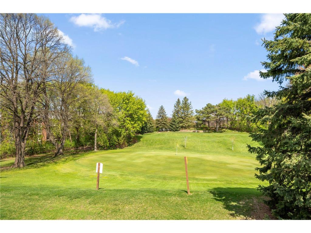 12548 Parkwood Drive Burnsville MN 55337 7062948 image35