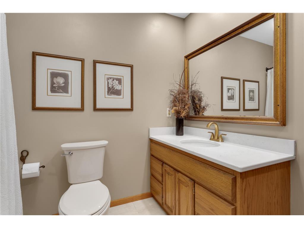 1255 Doe Circle White Bear Twp MN 55110 7064041 image18