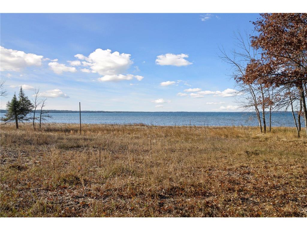 12553 N Pelican Lane Mission Twp MN 56465 - Pelican 6820312 image2