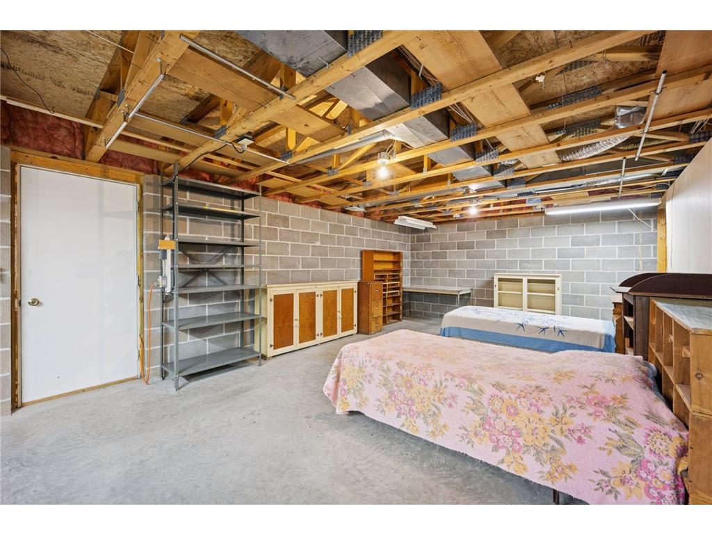 12553 N Pelican Lane Mission Twp MN 56465 - Pelican 6820312 image24