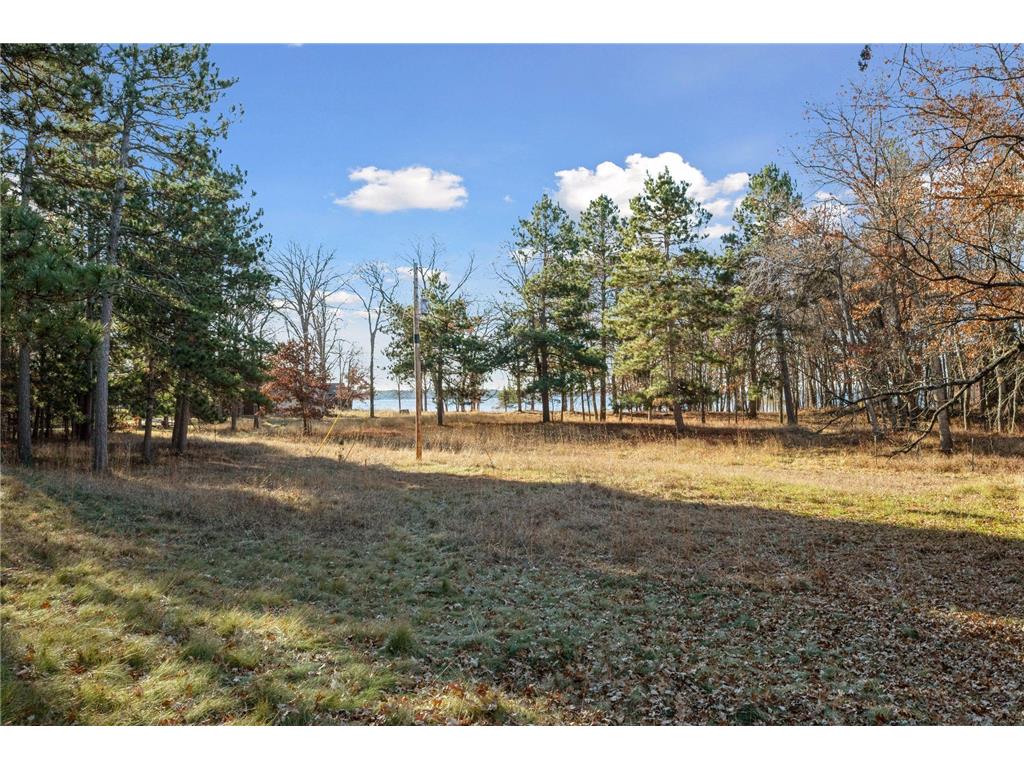 12553 N Pelican Lane Mission Twp MN 56465 - Pelican 7043732 image33