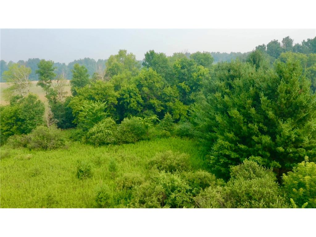 1256 Rice Street Braham MN 55006 7111475 image24