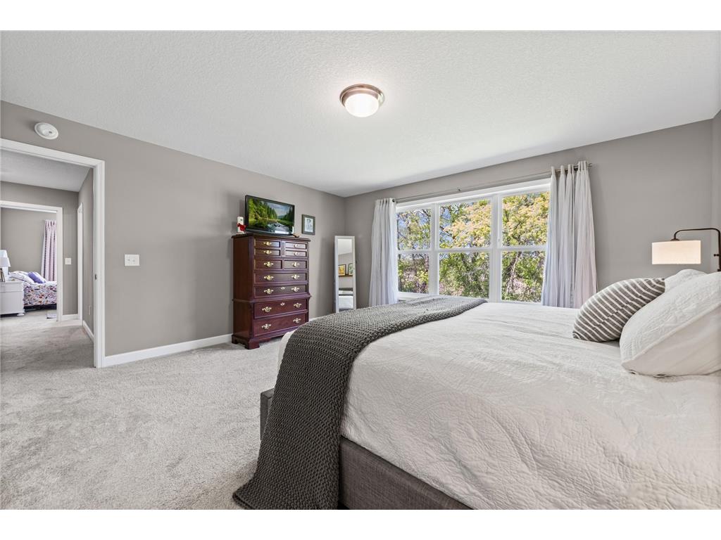 12565 Ardmore Avenue Rosemount MN 55068 6803453 image49