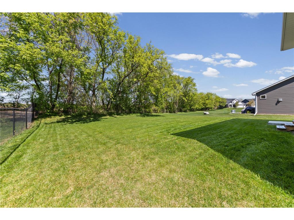 12565 Ardmore Avenue Rosemount MN 55068 6803453 image58