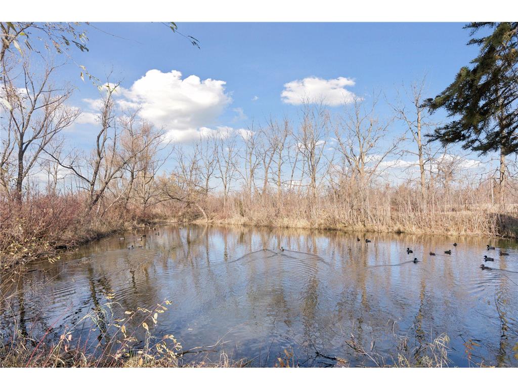 12565 Marion Court Rogers MN 55374 7034369 image2