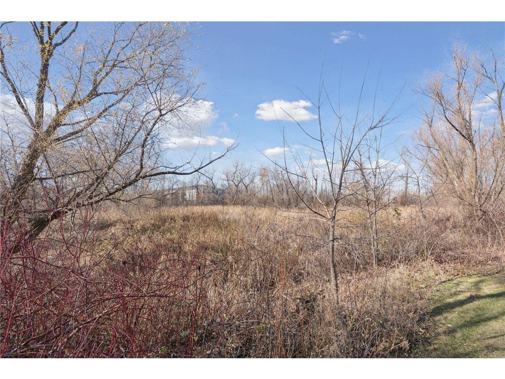 12565 Marion Court Rogers MN 55374 7034369 image35