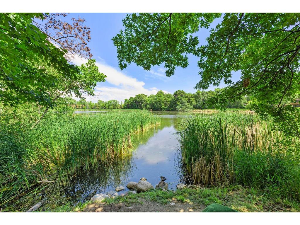 12569 74th Avenue N Maple Grove MN 55369 7033652 image3
