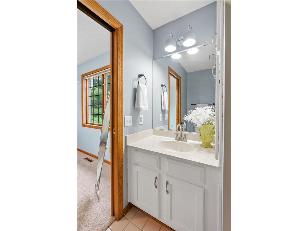 1257 Donegal Alcove Woodbury MN 55125 7085523 image30