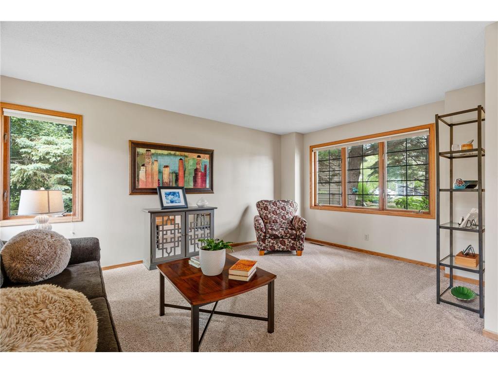 1257 Donegal Alcove Woodbury MN 55125 7085523 image9