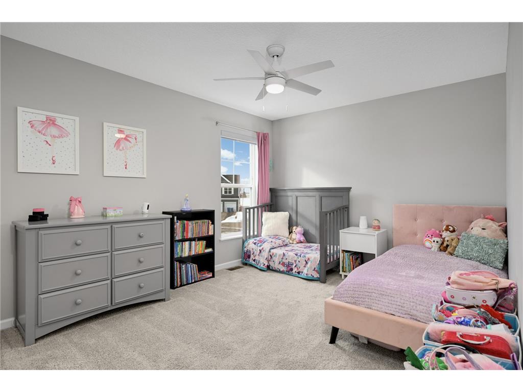 1257 Orchard Court Waconia MN 55387 7024091 image22