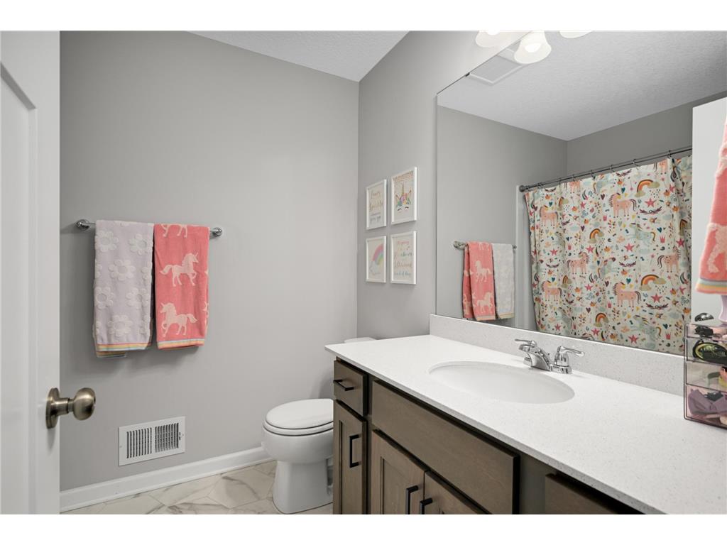 1257 Orchard Court Waconia MN 55387 7024091 image24