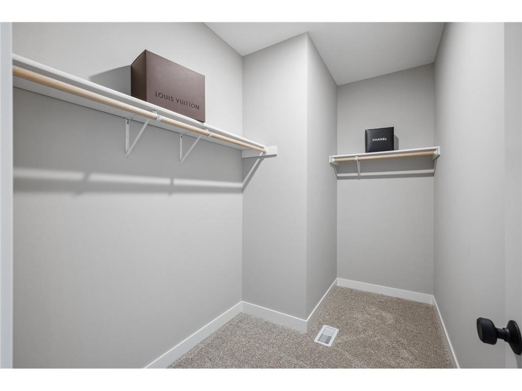 1257 Willowbrook Circle Delano MN 55328 6783749 image25