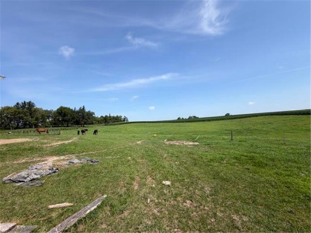 12570 County 23 Canton Twp MN 55922 7111715 image16