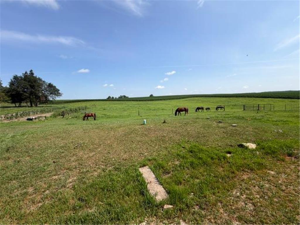 12570 County 23 Canton Twp MN 55922 7111715 image23