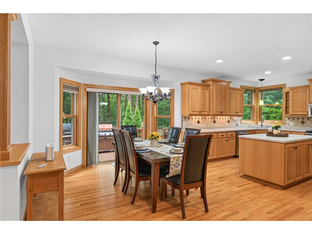 12572 224th Court NW Elk River MN 55330 7104999 image11