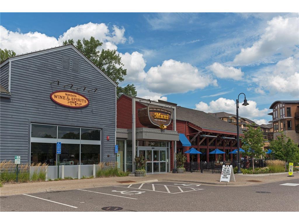 126 Circle A Drive S Wayzata MN 55391 7109793 image55