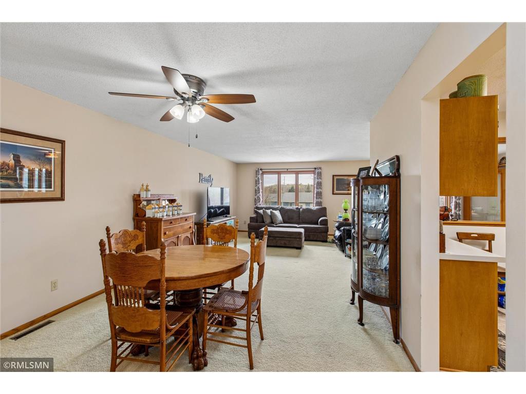 126 Floyd Street S #1 Cannon Falls MN 55009 7061687 image6