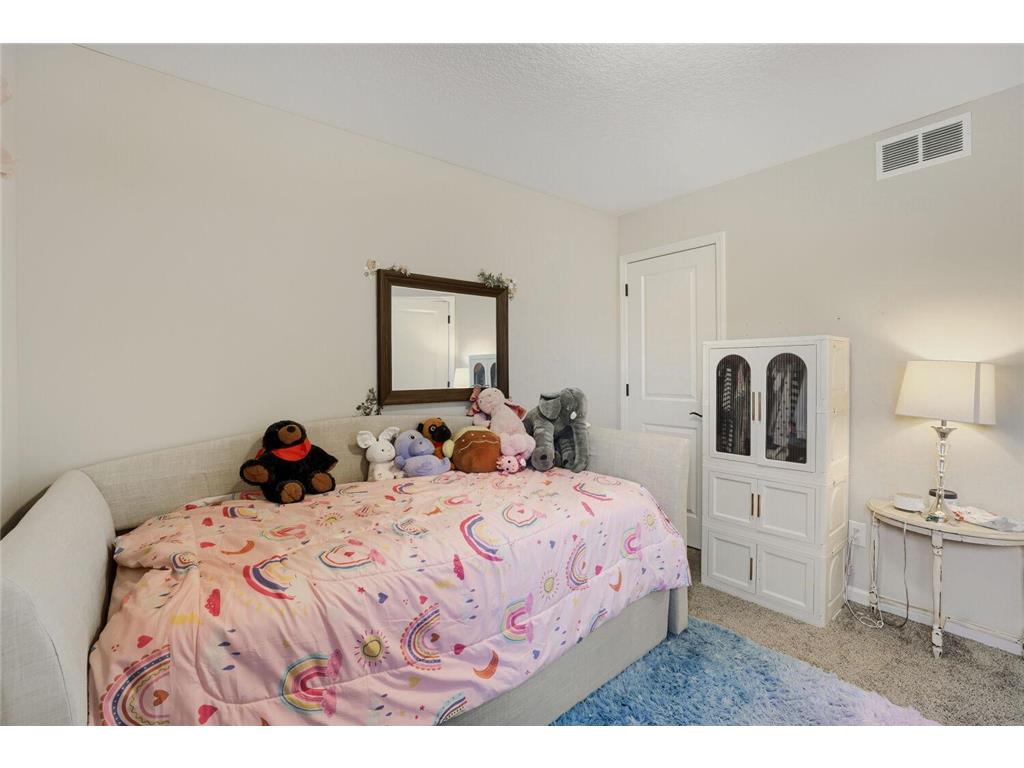 126 Maple Terrace Waconia MN 55387 7073364 image33