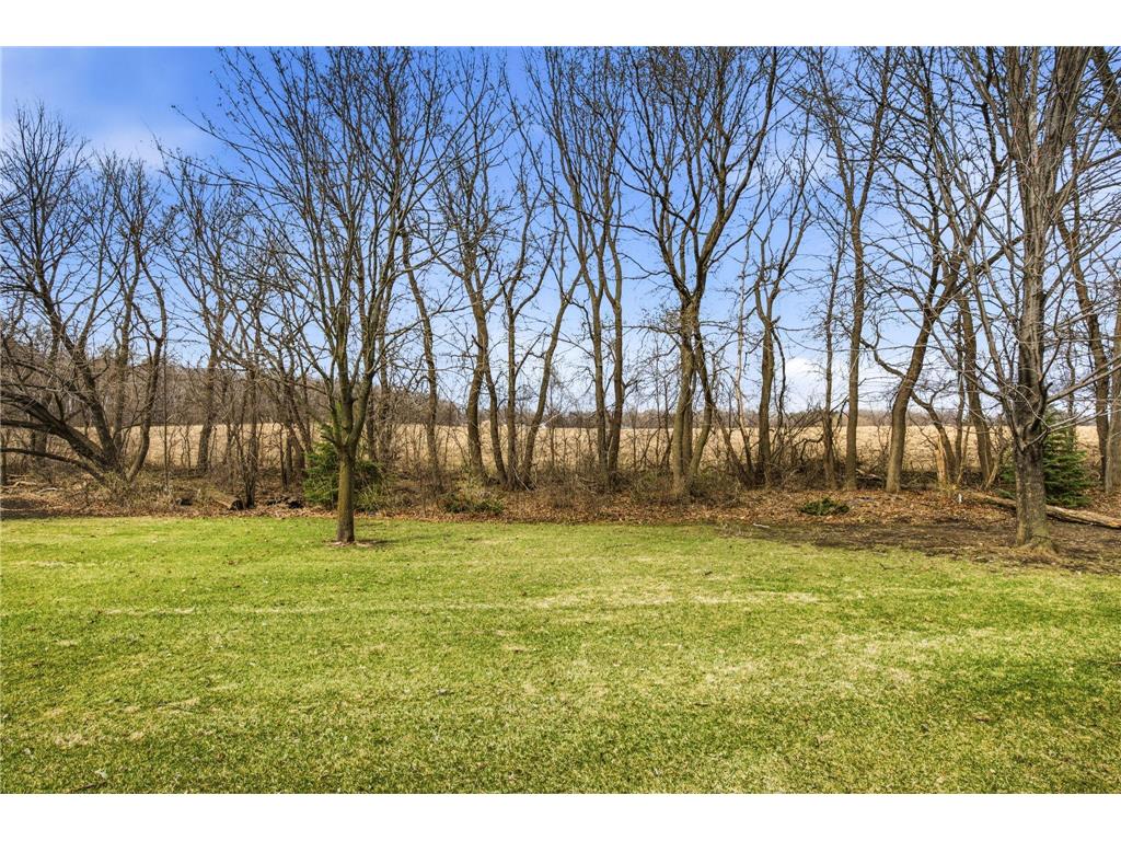 1260 Cypress Drive W Annandale MN 55302 7033264 image26