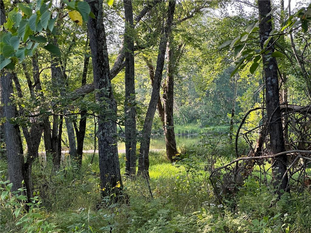 12609 W Mcdonald Road Big Bend Twp WI 54819 - Chippewa River 6608527 image1